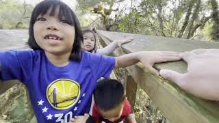 Family’s Great Adventure: Myakka Canopy Walkway, Myakka State Park, Florida