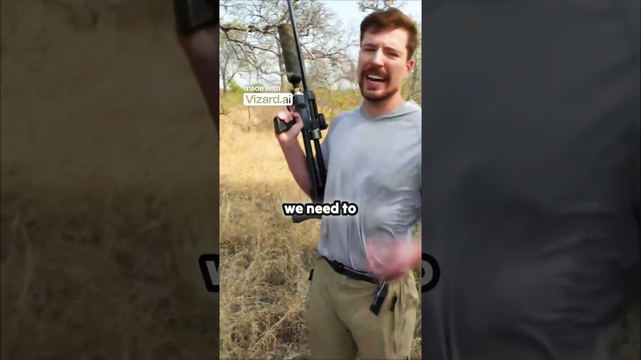 shooting vaccines into giraffe form a helicopter 