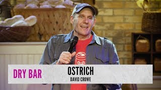 Riding An Ostrich In South Africa. David Crowe screenshot 5