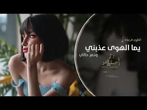 يما الهوى عذبني ودمر حالي اغاني تيك توك 2024 مطلوبه اكثر شي
