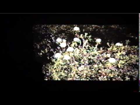 museums in london Plane Talk - Major Loyd Adamson 1/3 5/18/02