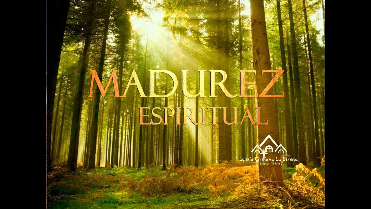 IX.- Madurez espiritual - La transformación por Espíritu Santo john macarthur commentary
