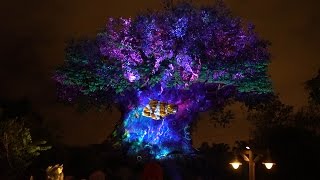 Tree Of Life Awakenings | New Nighttime Projection Mapping Show At Disneys Animal Kingdom