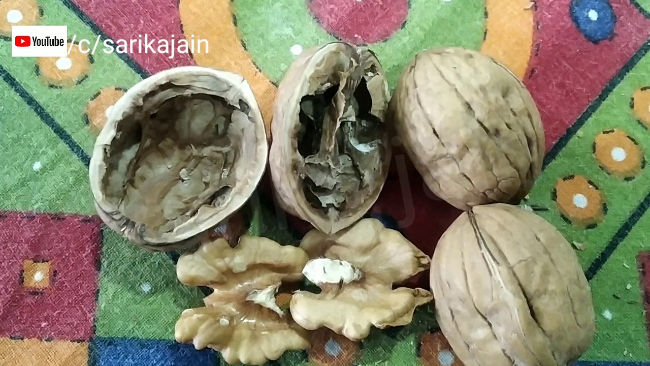 अख्र्रोट छिलने का यह तरीका देख कर दंग रह जायेंगे |How to open walnut ...