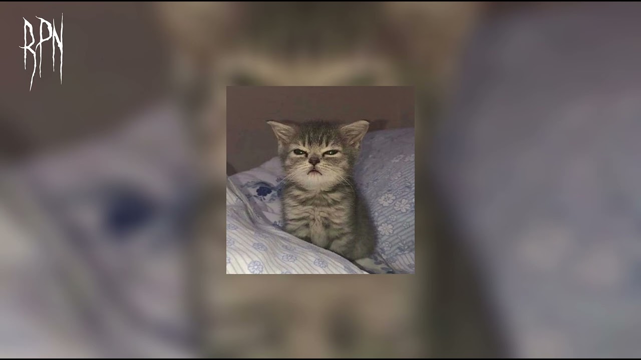 𝙖𝙮𝙢𝙖𝙣𝙚 𝙨𝙚𝙧𝙝𝙖𝙣𝙞 | 𝙩𝙤𝙣𝙩𝙤𝙣 ( 𝙨𝙡𝙤𝙬𝙚𝙙)