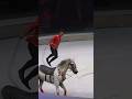 Horse China Circus Circuslife Tajikistan Arabic Dubai Arabic Tajikistan Horses Life 