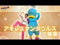 【体操】アキレスケンタウルス体操【幼稚園・保育園ダンス】