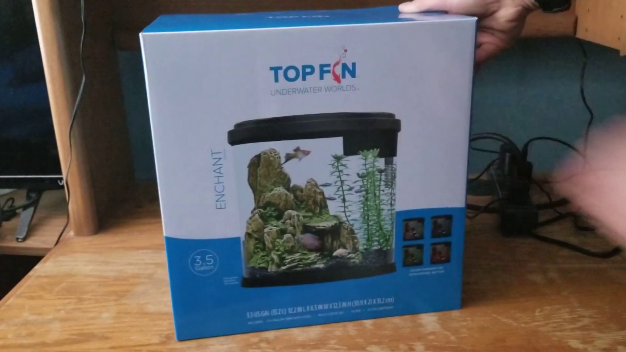 Top Fin Enchant betta tank unboxing YouTube