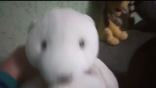 Huggies Turma Da Mônica