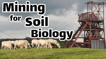 Can Brown Coal Save Modern Agriculture?