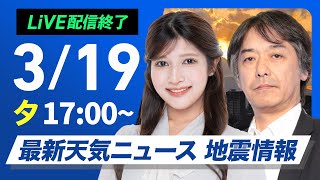 ウェザーニュースの配信のサムネイル画像