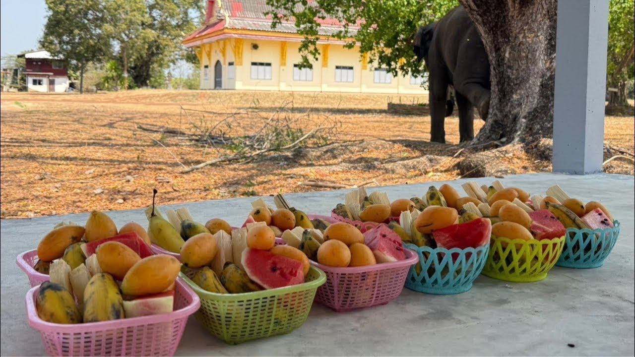 เงียบมาก ออเดอร์ไม่ออกไม่ขยับเลยค่ะ น้องยืนรอนานแล้วแม่จ๋า