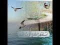 إلى الله أشكو جرح الزمان ....