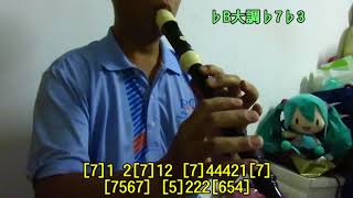 于文文《體面》(中、高音直笛AltoSoprano Recorder cover)