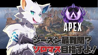 【Apex】S20ソロマスターチャレンジ6日目【旅猫シロ/ケモノVtuber】