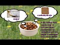 Why you really shouldn't feed your dog kibble?