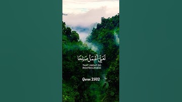تلاوة مباركة بصوت جميل #اكسبلور #quran #islamicprayer #القران_الكريم  #اكسبلور