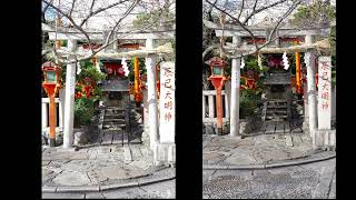 20260807 Leica vs  Ricoh (4K)