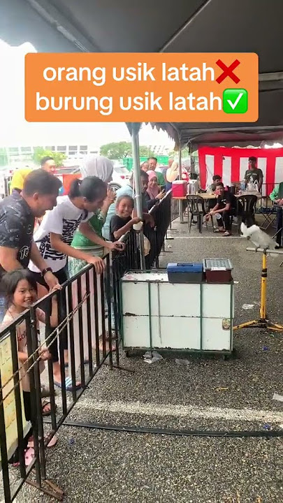 BILA BURUNG MENGUSIK GENG ORANG MELATAH : SEKALI INI YANG TERJADI