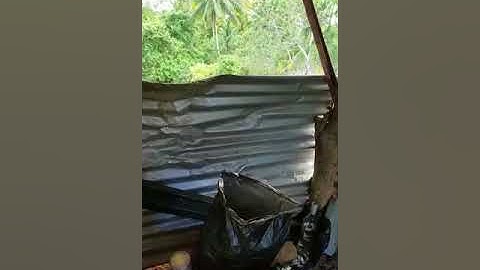 Francis Goodridge Part 1   History of Occupation of Property at LP 68 69 Berridge Trace Harris Villa