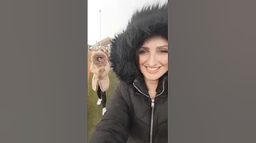 Come to a freezing gig with me - BOXFEST | ZF Dance Diary #286