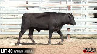 LOT 40 W10189 AI ET