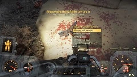 Alert: Sheepsquatch Attack