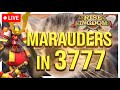 New Account in 3777... Time For Marauders | Rise of Kingdoms