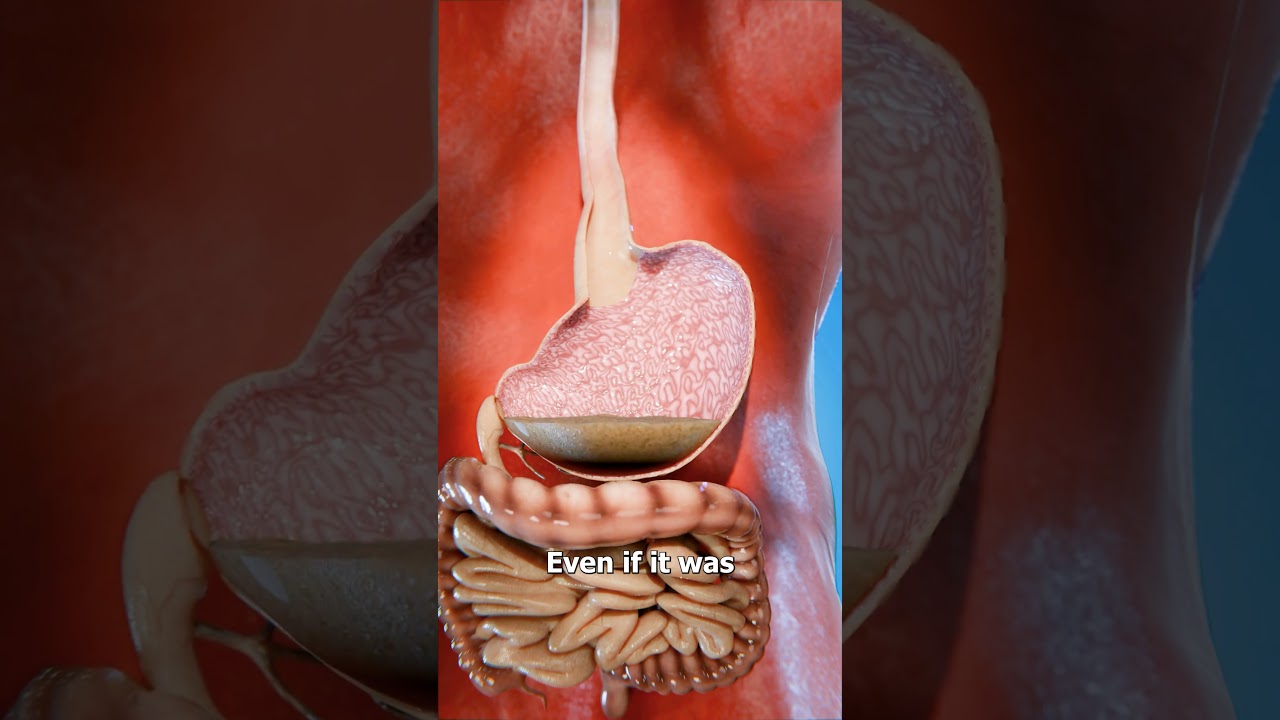 What Happens If You Swallow Mentos And Coke 😨