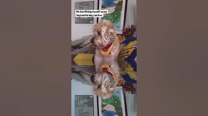 The Titanic Sacrifice 🐶 @TheJessiiShow #TheManniiShow.com/series