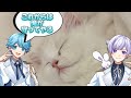 【いれいす】にこさんにデレデレないむくん