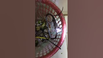 Bẫy chuột bán nguyệt không cần mồi