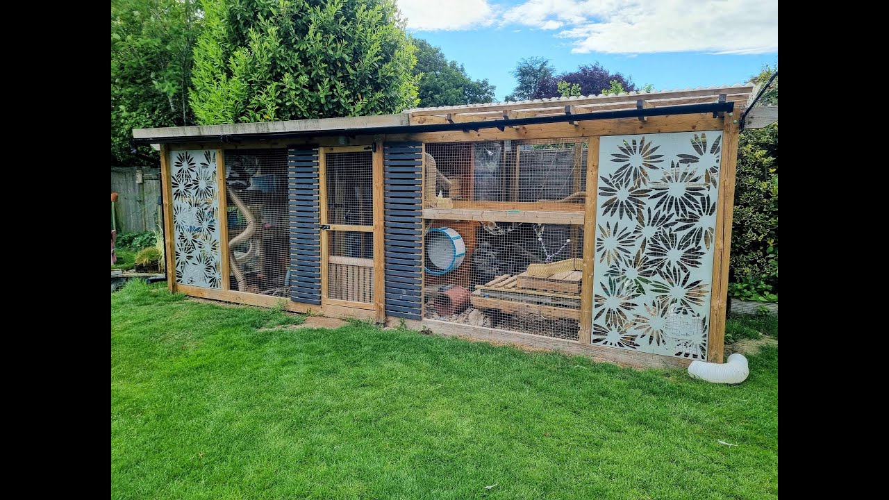 Ferrets LIVE from their Enclosure 🥰❤️