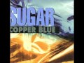 Sugar - The Act We Act