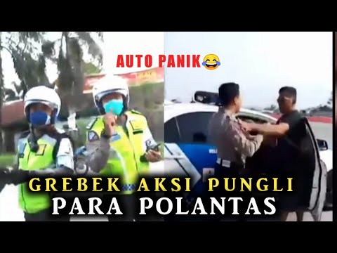 Video: Pemburu apa yang dipecat?