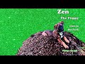 Zen the Puppy goes to the Park