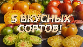 СОРТА, КОТОРЫЕ СТОИТ ПОСАДИТЬ!