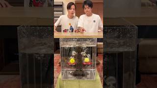 水中で神業を成功させろ #twins