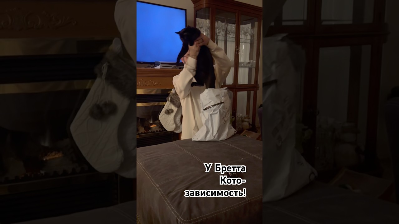 #juno#poppy#midnight#cathumor#котолюбитель#котозависимость#cattalk#cutecats & kittens#funnycats