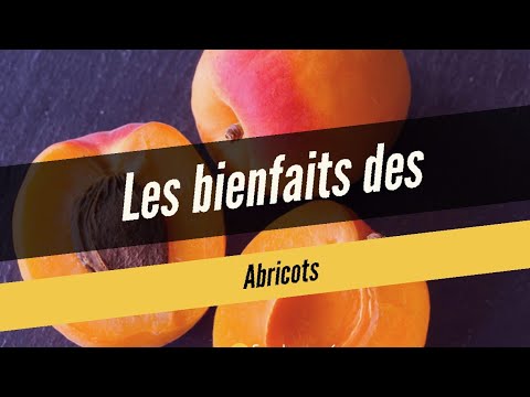 Vidéo: Avantages et inconvénients des abricots pour la santé