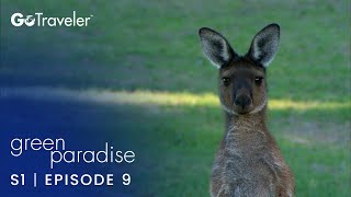 Green Paradise | S1e9 | Australia - From The Ocean To The Vine