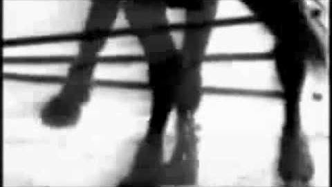 Equestrianism: Let The Games Begin (Contest Entry)