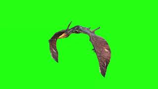 Pterodactyl Fly #1 | Green Screen 3D Animation Video