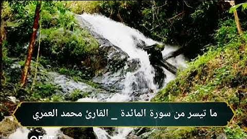 صلاة العشاء : ماتيسر من سورة المائدة / القارئ محمد العمري