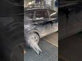 Super dirty car wash #carwashing #carcleaning #automaticcarwash #자동세차기계가격 #세차장창업비용