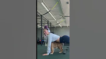 Adorable Bulldog Helps Parent Workout At Gym 