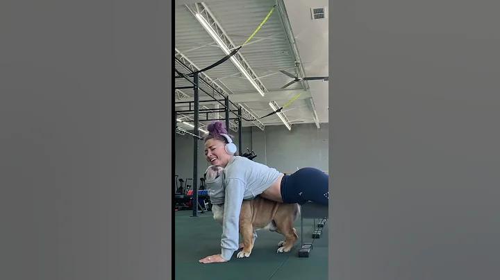 Adorable Bulldog Helps Parent Workout At Gym - DayDayNews