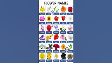 Thumbnail of Most Important Words For Daily Use||30 Flowers Name In English||Flowers Name #grammar #flowers