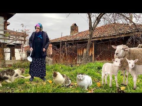 Köyde Kış Başladı - Köy Hayatı Belgesel