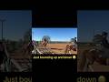 😂 #horse #funnyvideo #bouncing #horseshow #ottb #equestrianjourney #hilarious